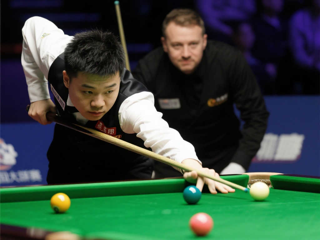 羽毛球比赛 羽毛球比赛